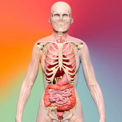 Biomedical Visualisation