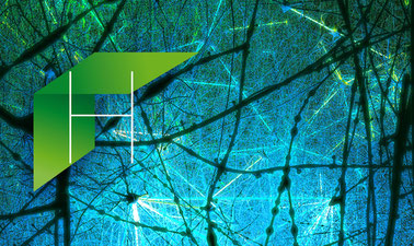 Simulating a Hippocampus Microcircuit