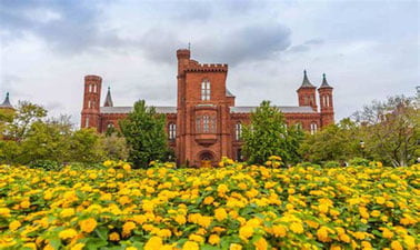 Teaching with the Smithsonian: Addressing 21st-Century Challenges in the College Classroom