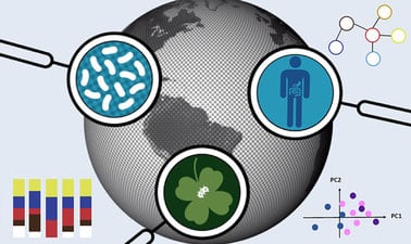 How to analyze a microbiome