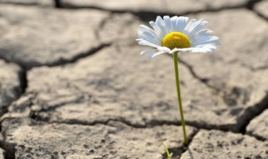 Building Personal Resilience: Managing Anxiety and Mental Health