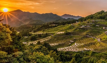 Feeding a Hungry Planet: Agriculture, Nutrition and Sustainability