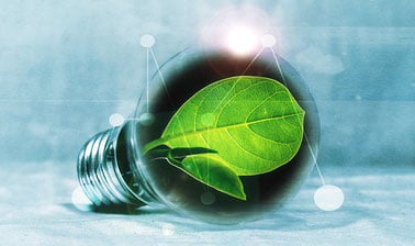 From Fossil Resources to Biomass: A Business and Economics Perspective