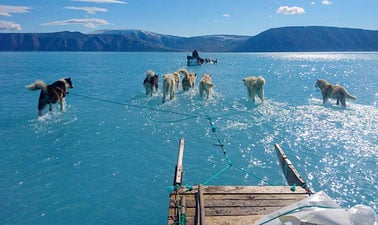 Climate Change in Arctic Environments