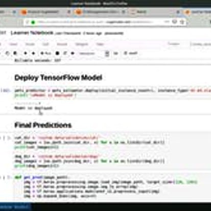 Using TensorFlow with Amazon Sagemaker