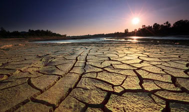 Drainage in Agriculture: controlling water and salt levels in the soil