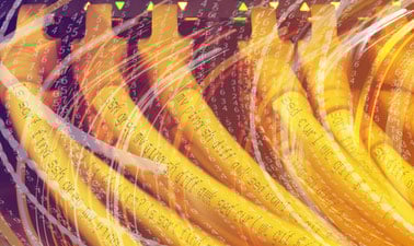 Unix Tools: Data, Software and Production Engineering