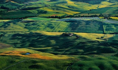 Sustainable Food Systems: A Mediterranean Perspective