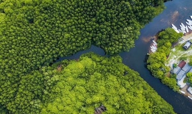 Nature-based Solutions for Disaster and Climate Resilience