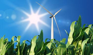 Sustainable Energy: Design a Renewable Future