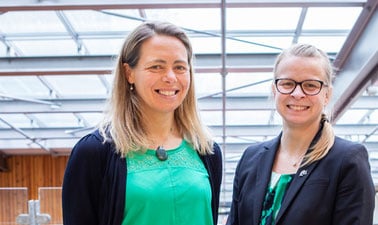 Supporting Employee Wellbeing