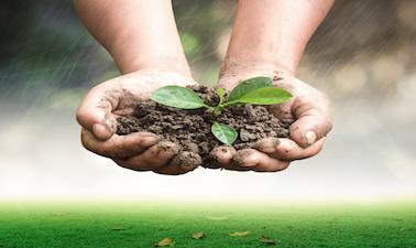 Sustainable Soil Management: Soil for life