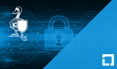 Secure Software Development: Verification and More Specialized Topics
