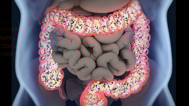 Nutrition and Health: Human Microbiome