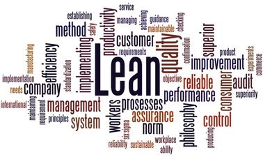 Lean Product Portfolios: Beyond Value Stream Mapping