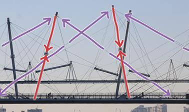 The Engineering of Structures Around Us