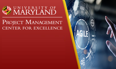 Development and Delivery Models for Citizen Developers - Disciplined Agile for Rapid Low/No-Code Applications.