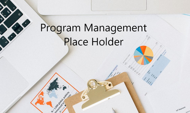 Creating an Organizational Change Management Framework - Transforming Strategy Execution to Realize Program Value
