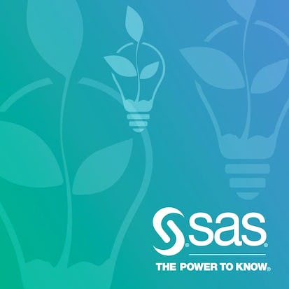SAS Programmer