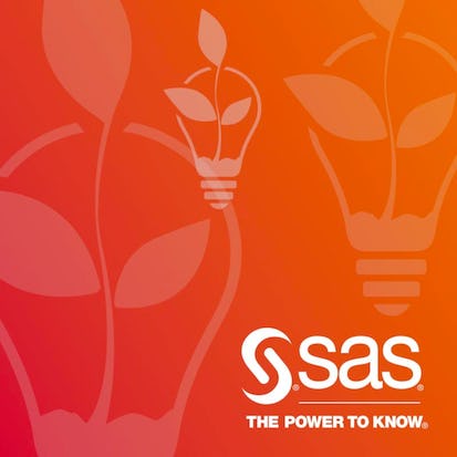 Doing More with SAS Programming