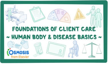 Foundations of Client Care 1: Human Body and Disease Basics