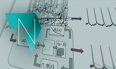 Neuronal Dynamics