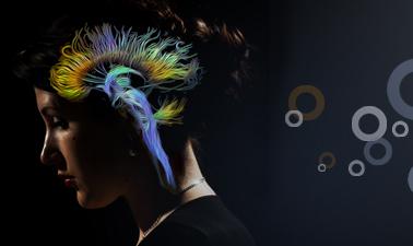 AP Psychology - Course 2: How the Brain Works
