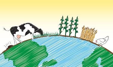 Sustainable Food Security: The value of systems thinking