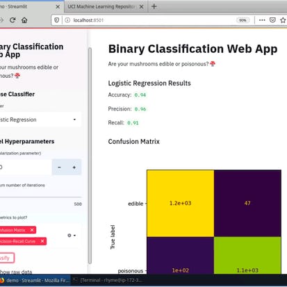 Build a Machine Learning Web App with Streamlit and Python