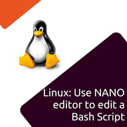 Linux: Use NANO editor to edit a Bash Script