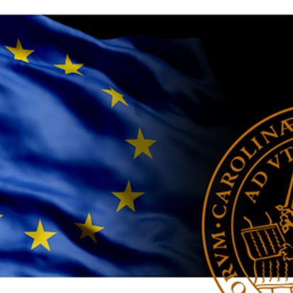 European Business Law