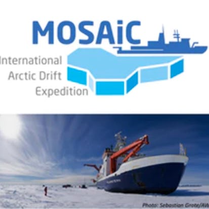 Frozen in the Ice: Exploring the Arctic