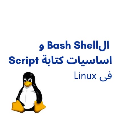 bash shell و أساسيات ال scripting فى Linux