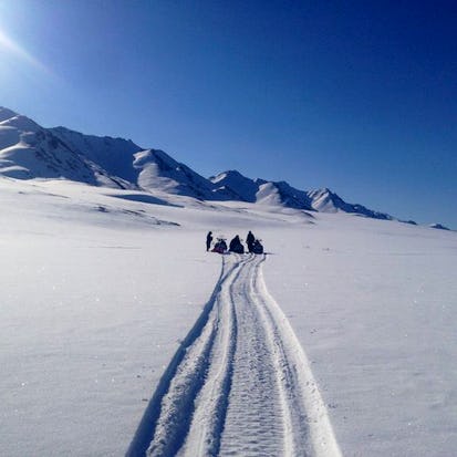 Arctic Meltdown
