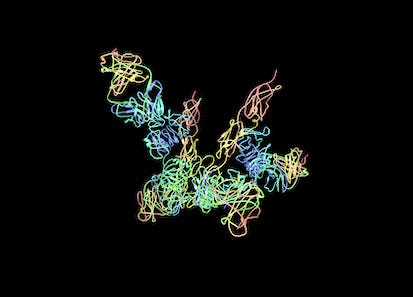 Drug Commercialization