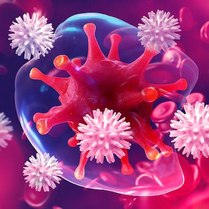 Fundamentals of Immunology: Innate Immunity and B-Cell Function