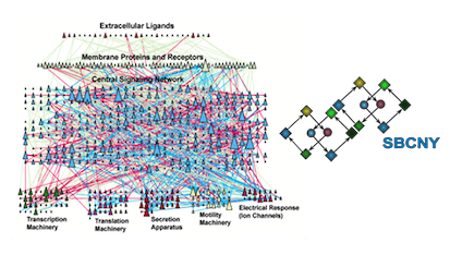 Introduction to Systems Biology