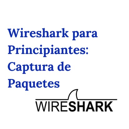 Wireshark para Principiantes: Paquetes de Captura