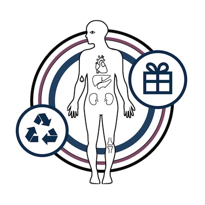 Organ Donation: From Death to Life