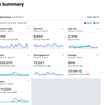 Measure a Marketing Strategy using Facebook Insights