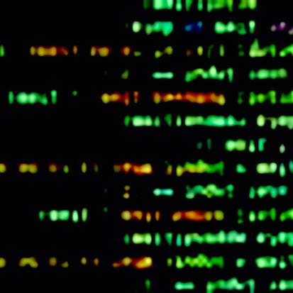 Create Your First Python Program From UST