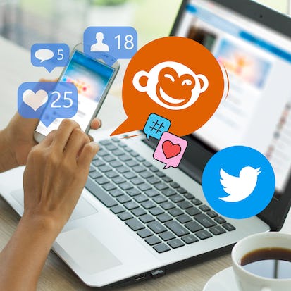 Créer des visuels Twitter pour entreprises avec PicMonkey