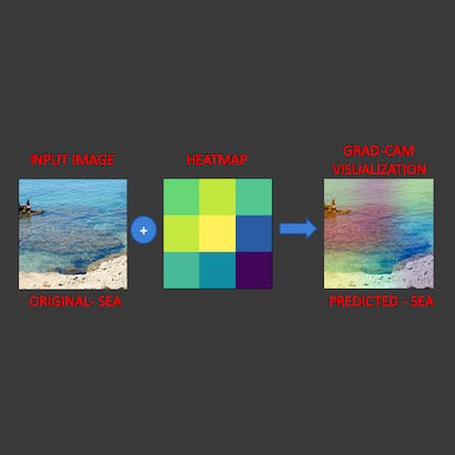 Explainable AI: Scene Classification and GradCam Visualization