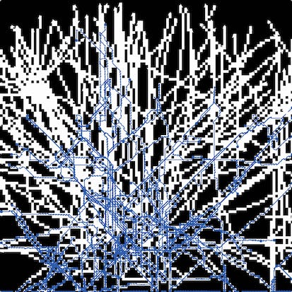 Mycelium Growth with NetLogo Web
