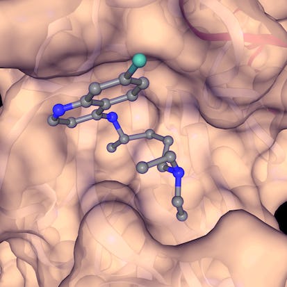 SARS-CoV-2 Protein Modeling and Drug Docking
