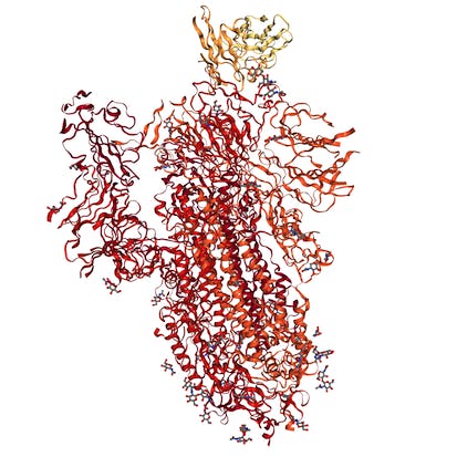 Access Bioinformatics Databases with Biopython
