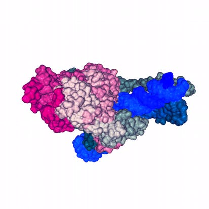 3D SARS-CoV-19 Protein Visualization With Biopython