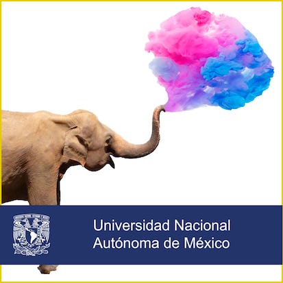 Ser más creativos
