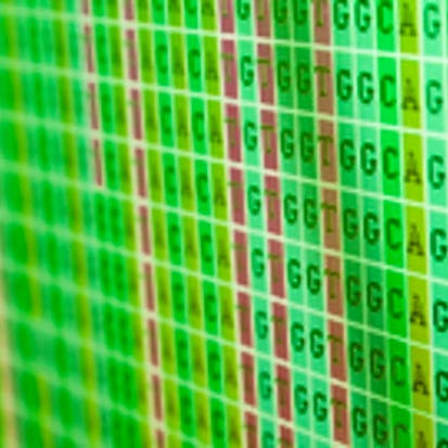 Plant Bioinformatic Methods
