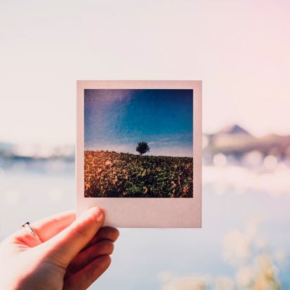 How to edit photos for Social media with Canva